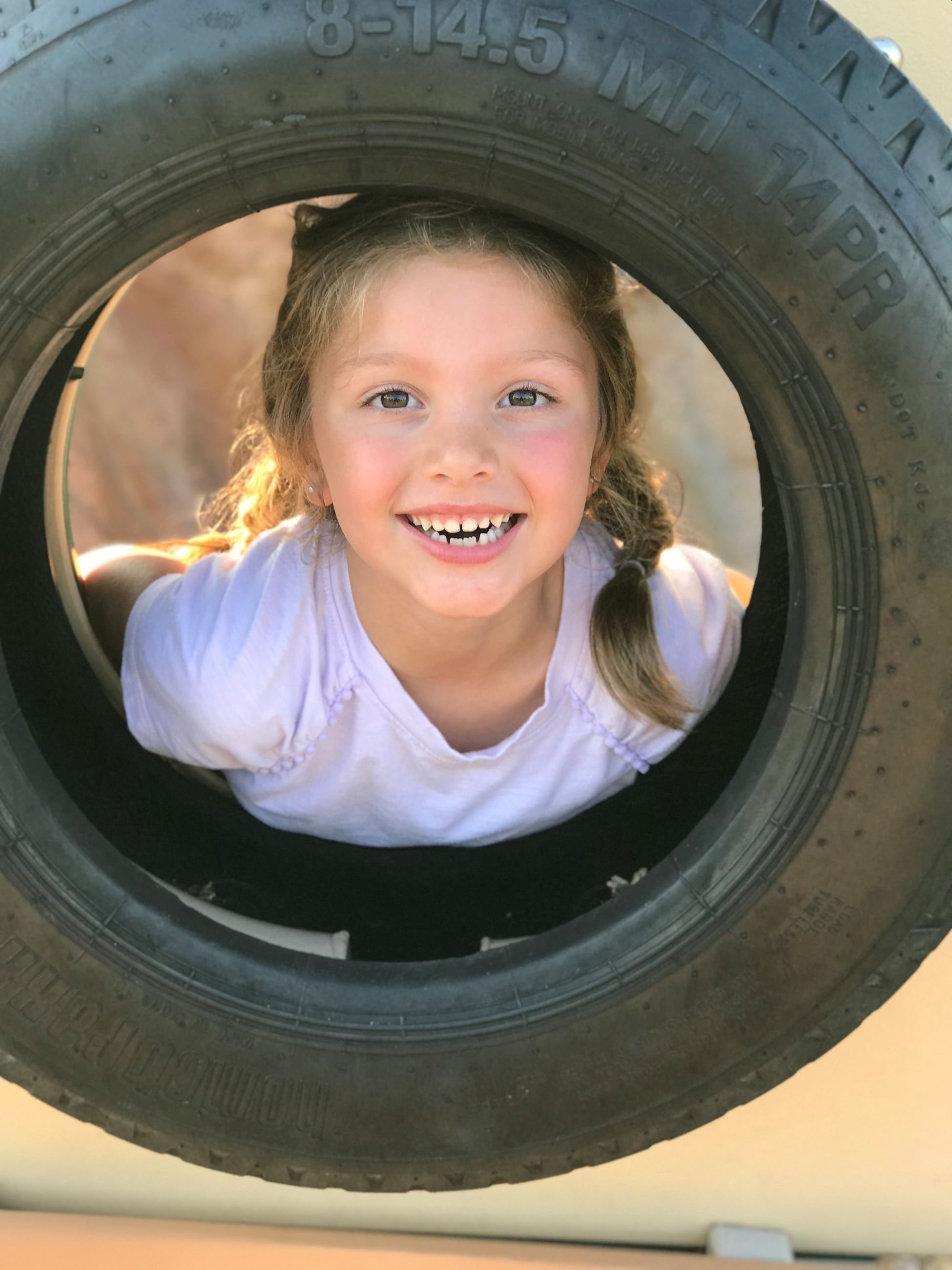 Tire swing logan play 2019