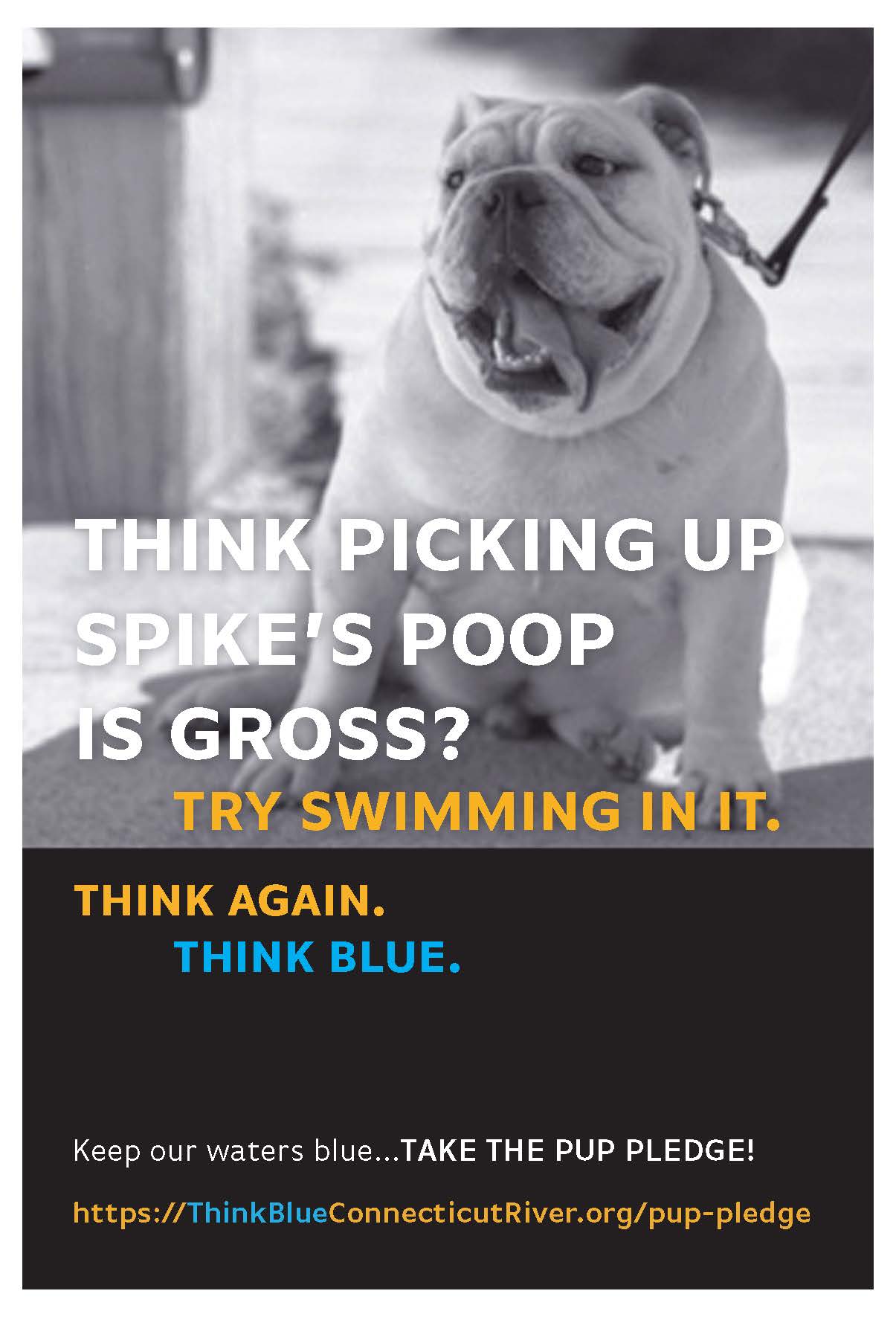 Image of Single post card - with muni seal_Page_1