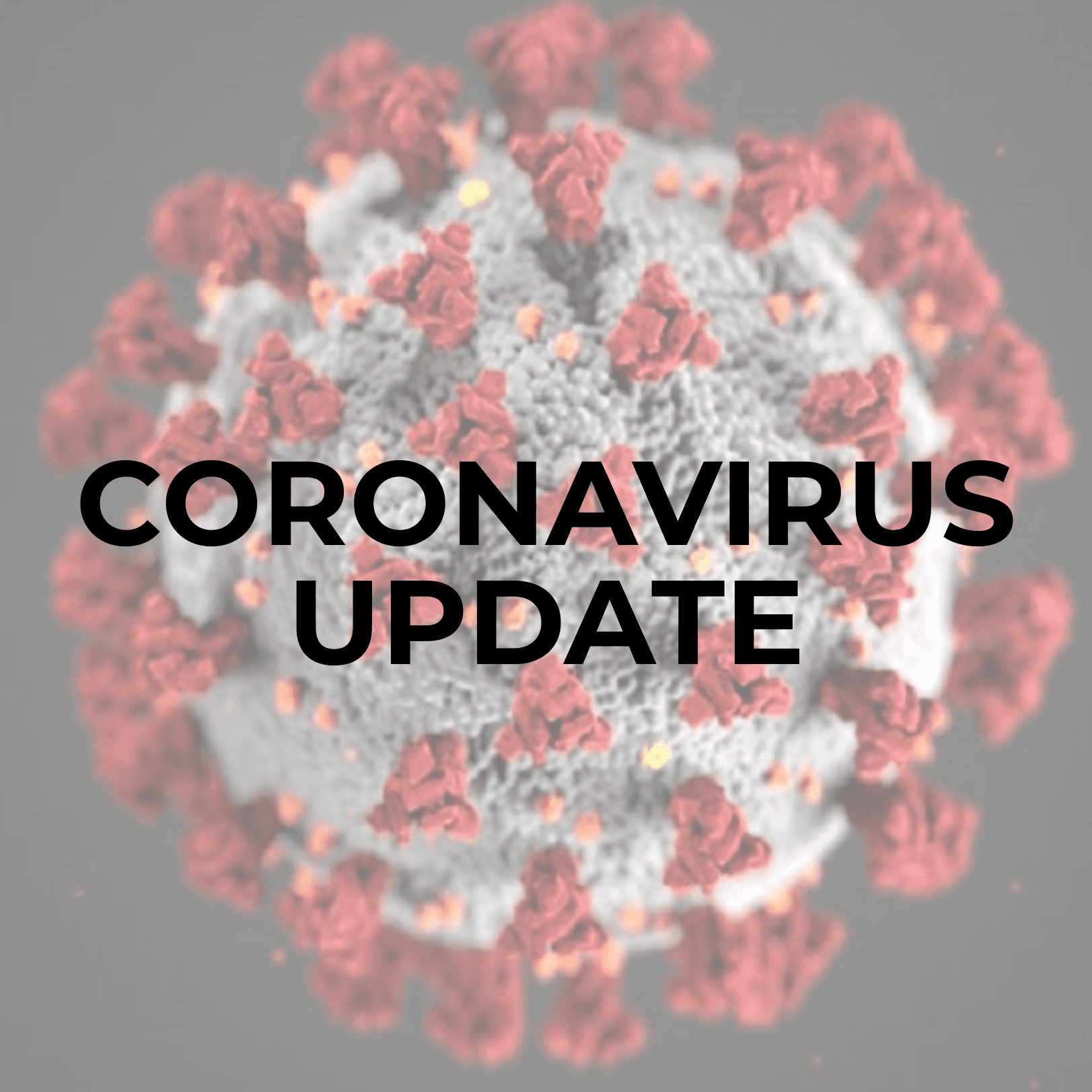 Image of Coronavirus Update
