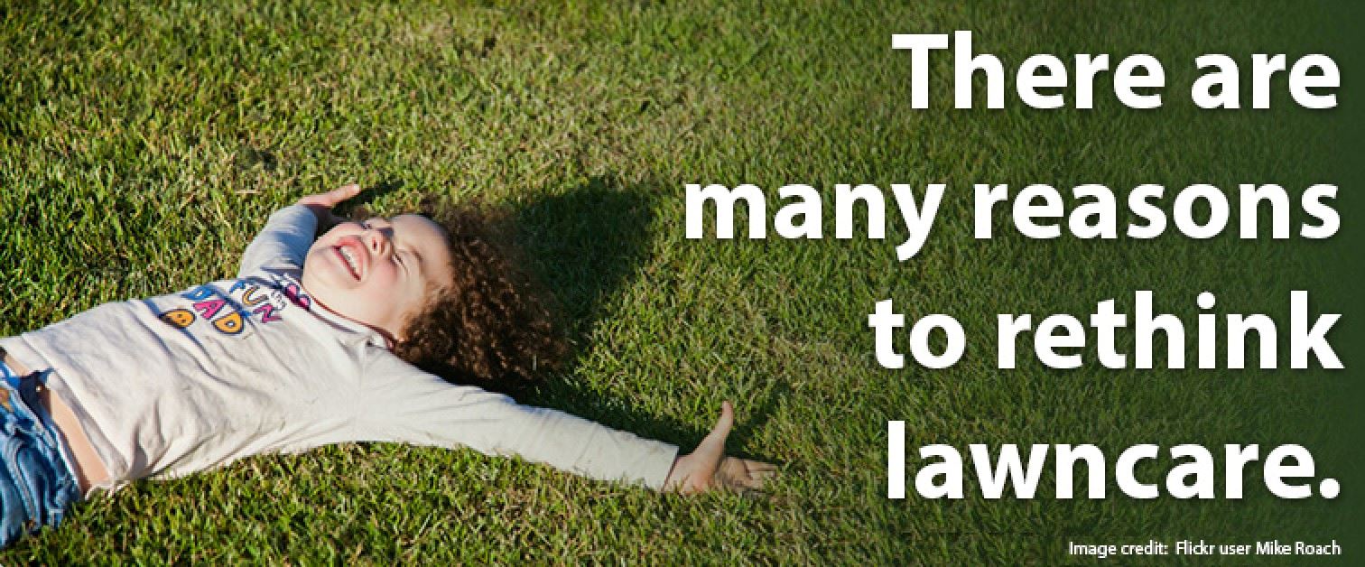 Image of Rethink Lawncare