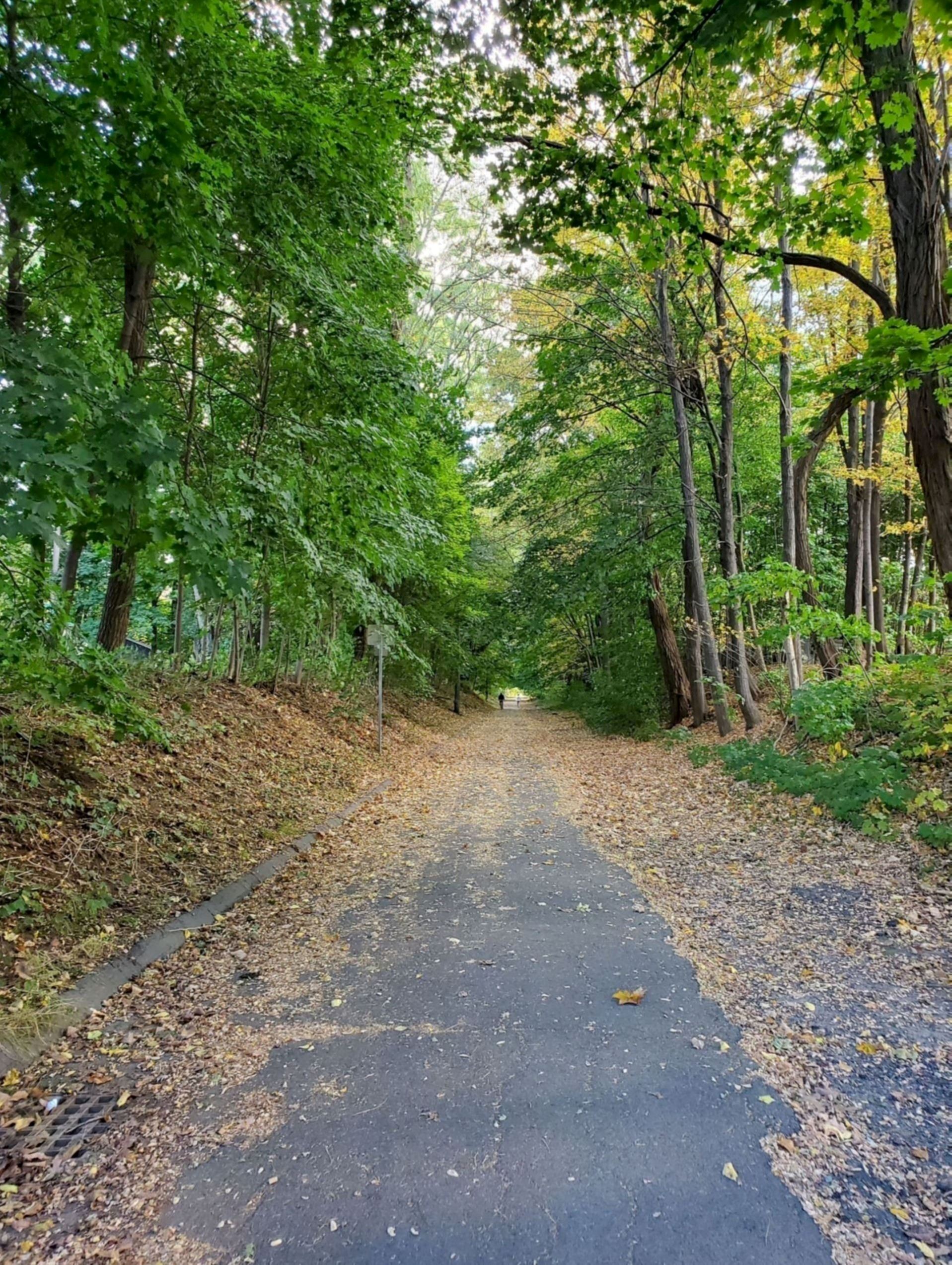 Image of Bikeway October 2024