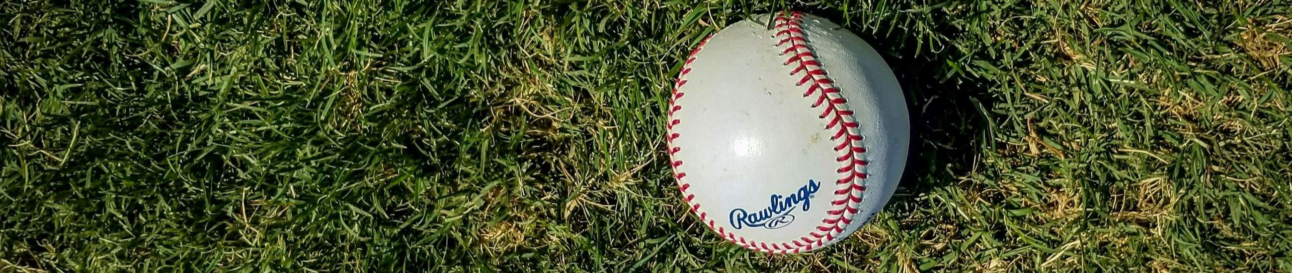 Baseball on Grass Website Image