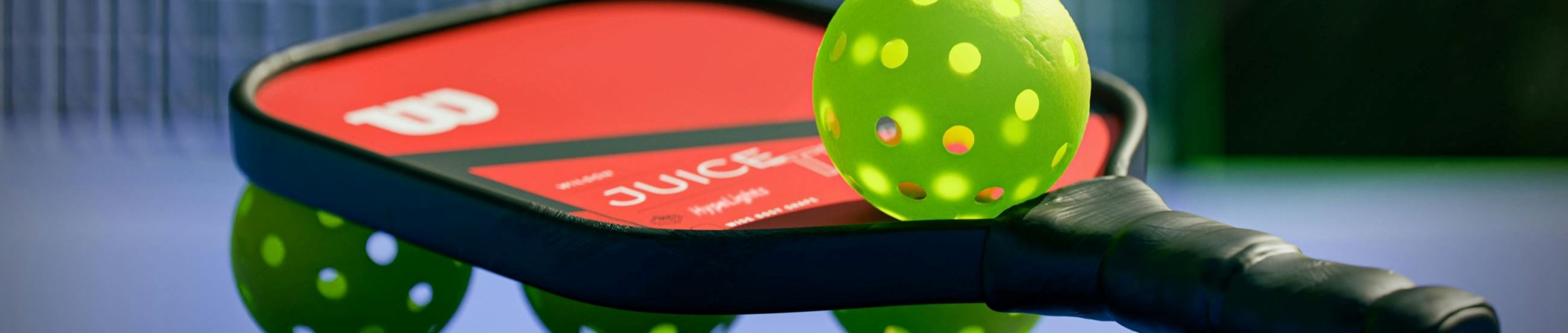Pickleball Tournament Website Image