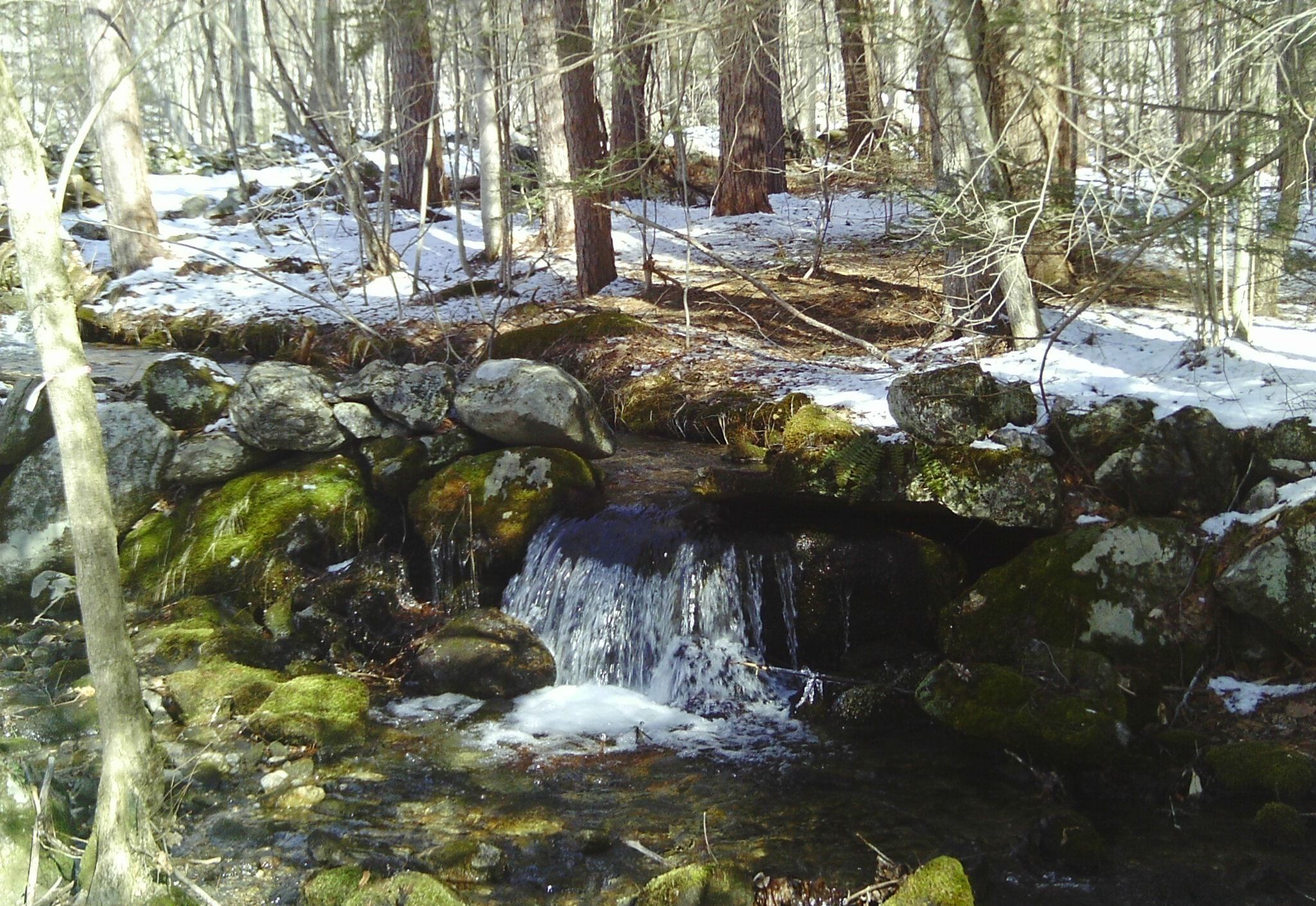 Image of Finney Brook in Conway