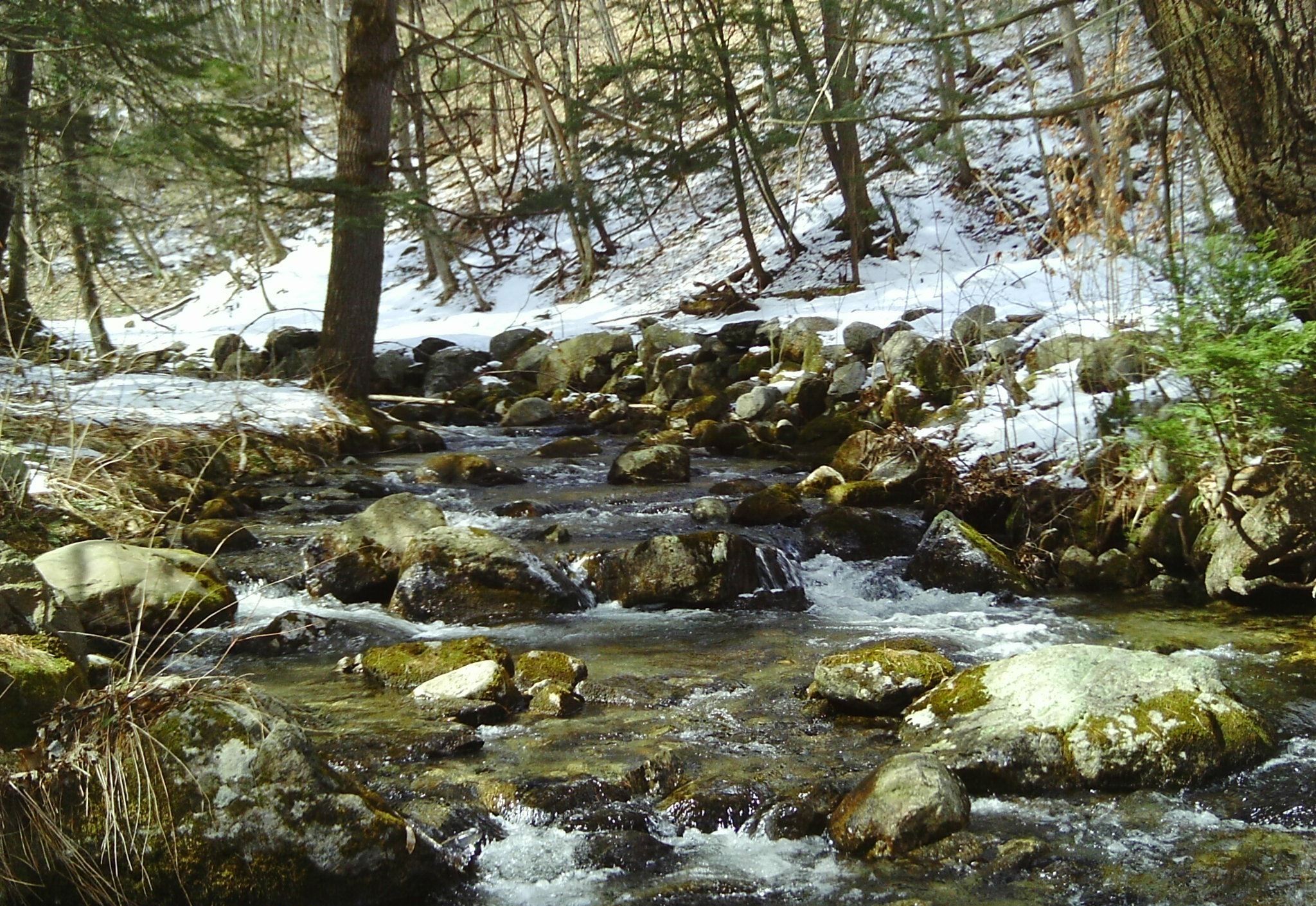 Image of Sanderson Brook