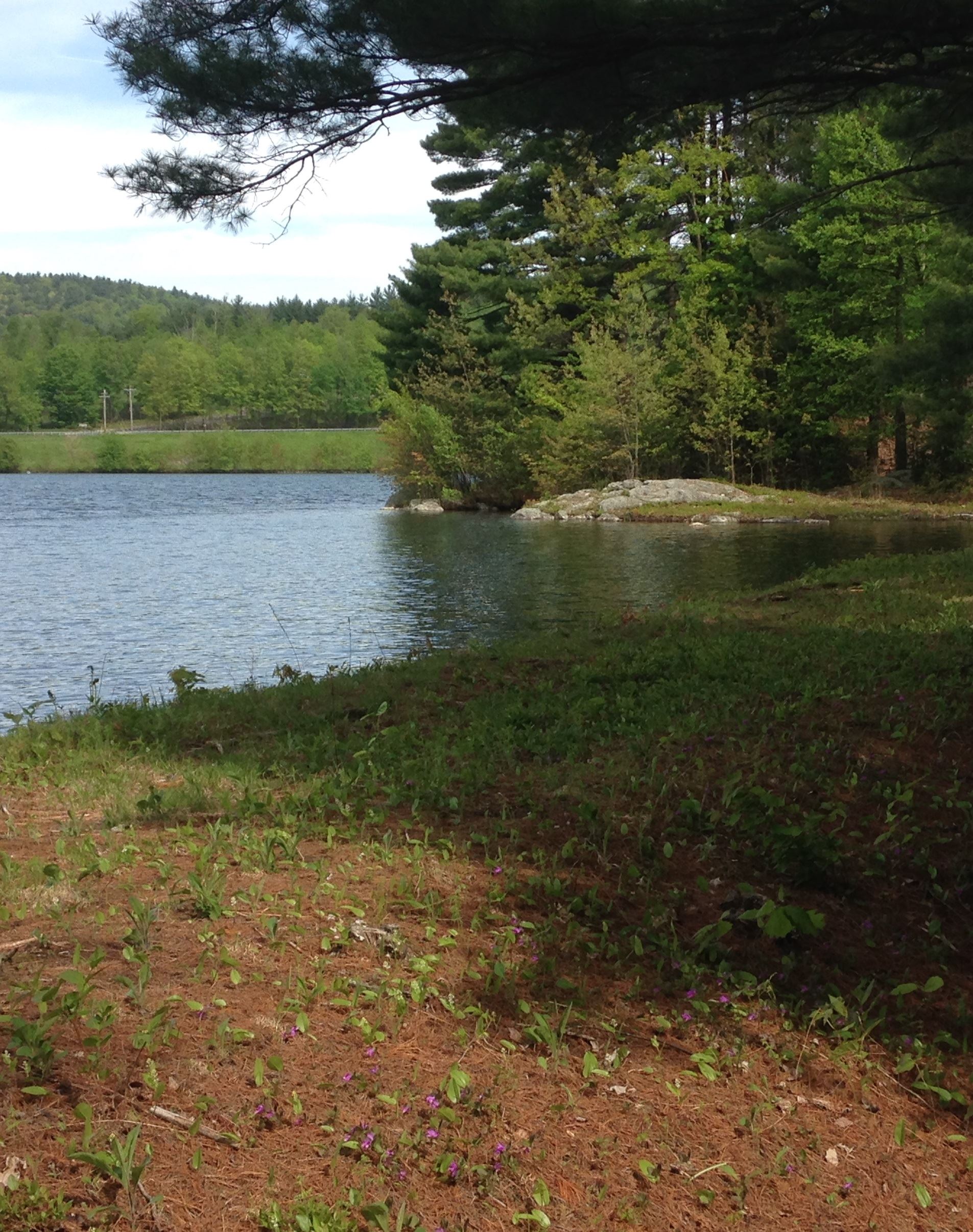 Image of Mountain Street Reservoir