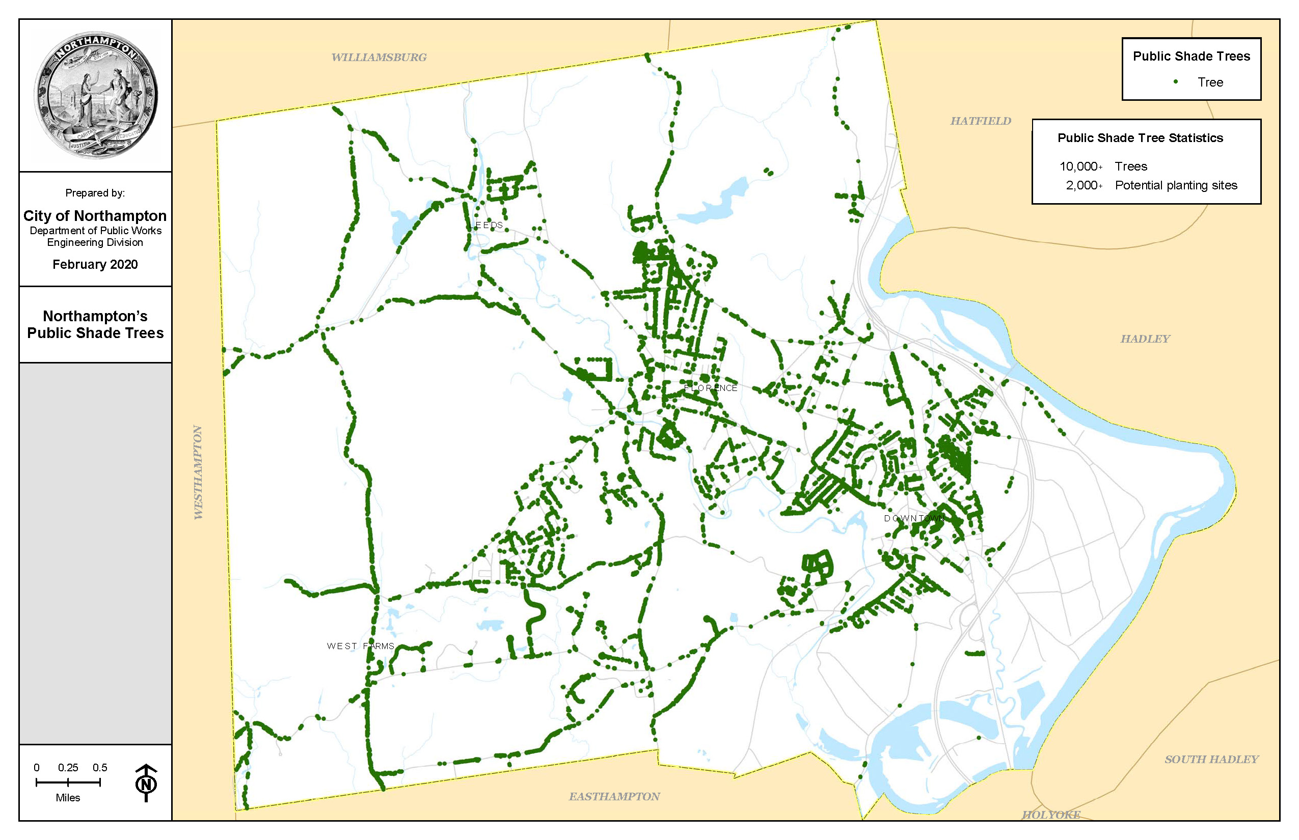 Image of City Public Shade Trees