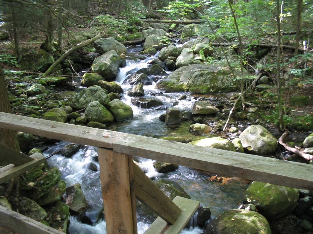 Image of Avery Brook