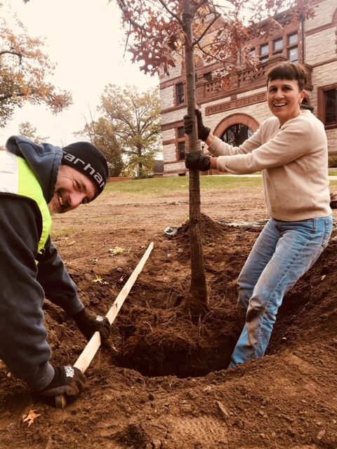 Two people planting a tree